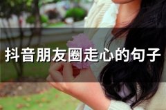 抖音朋友圈走心的句子(68句)