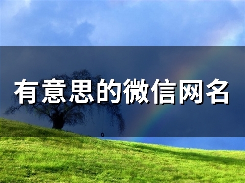 有意思的微信网名(精选70个) 有意思的微信网名(精选70个)