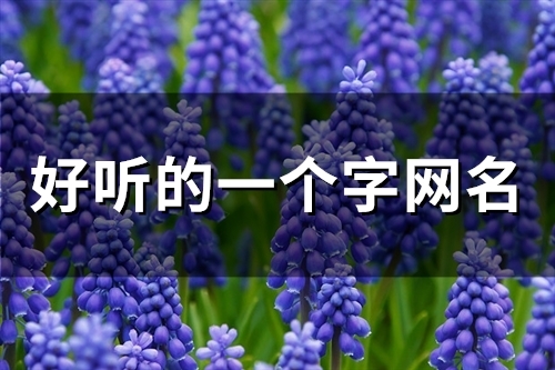 好听的一个字网名(74个)(好听的一个字网名女生带符号)