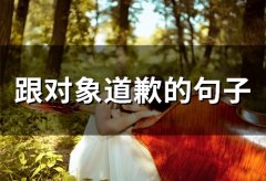 跟对象道歉的句子(精选65句)