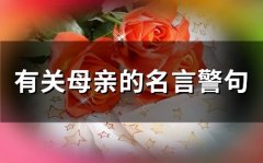 有关母亲的名言警句(精选81个)