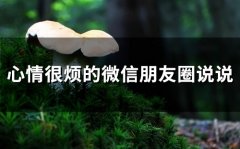 心情很烦的微信朋友圈说说(精选66句)