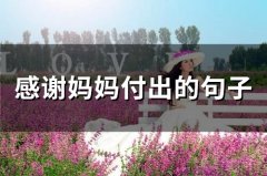 感谢妈妈付出的句子(51句)