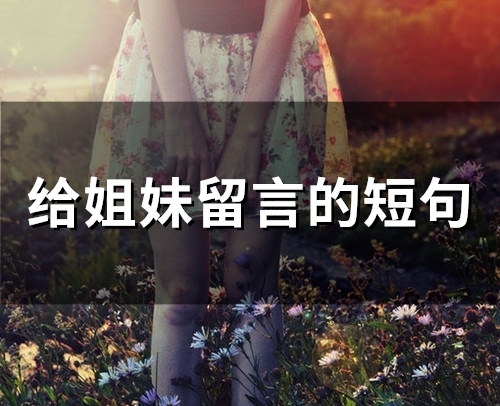 给姐妹留言的短句(66句)