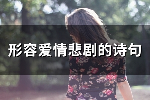 形容爱情悲剧的诗句(精选67句) 形容爱情悲剧的诗句(精选67句)