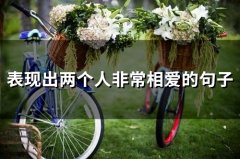 表现出两个人非常相爱的句子(精选73句)