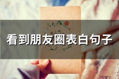 看到朋友圈表白句子(精选73句)
