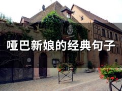 哑巴新娘的经典句子(34句)