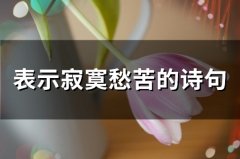 表示寂寞愁苦的诗句(精选53句)