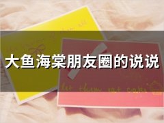 大鱼海棠朋友圈的说说(精选50句)