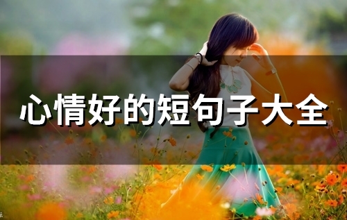 心情好的短句子大全(精选66句)
