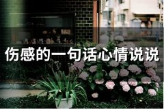 伤感的一句话心情说说(66句)