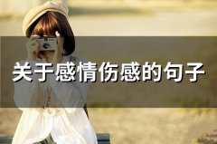 关于感情伤感的句子(精选66句)