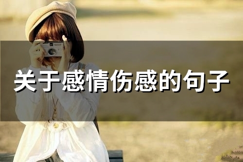 关于感情伤感的句子(精选66句)