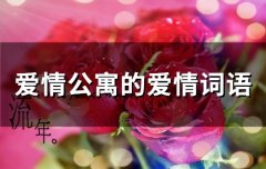 爱情公寓的爱情词语(11句)