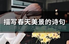 描写春天美景的诗句(精选66句)