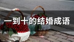 一到十的结婚成语(精选41句)