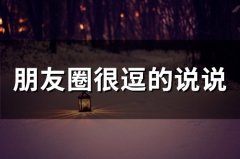 朋友圈很逗的说说(66句)