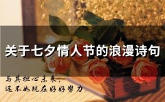 关于七夕情人节的浪漫诗句(454句)