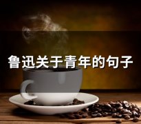 鲁迅关于青年的句子(精选161句)