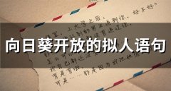 向日葵开放的拟人语句(103句)