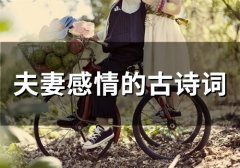 夫妻感情的古诗词(精选452句)