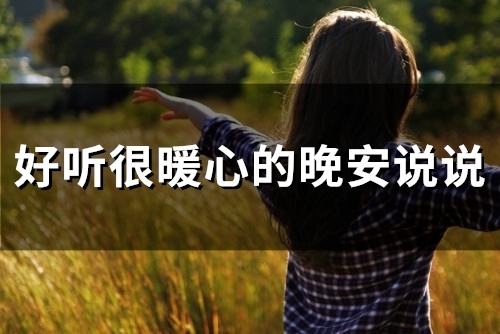 好听很暖心的晚安说说(280句)