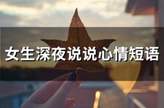 女生深夜说说心情短语(68句)