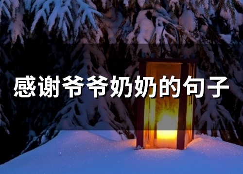 感谢爷爷奶奶的句子(75句)