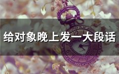 给对象晚上发一大段话(54句)