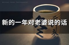 新的一年对老婆说的话(77句)