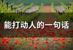 能打动人的一句话(精选52句)