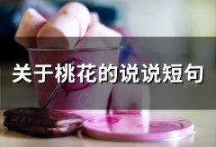关于桃花的说说短句(66句)