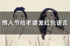 情人节给老婆发红包语言(71句)