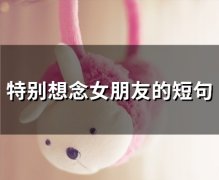 特别想念女朋友的短句(52句)
