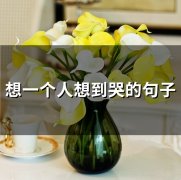 想一个人想到哭的句子(精选51句)