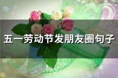五一劳动节发朋友圈句子(66句)
