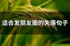 适合发朋友圈的失落句子(63句)