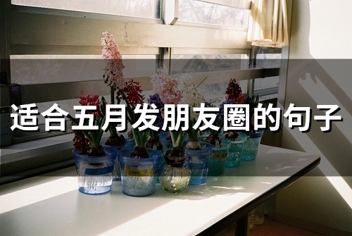 适合五月发朋友圈的句子(精选79句) 适合五月发朋友圈的说说