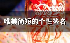 唯美简短的个性签名(78个)