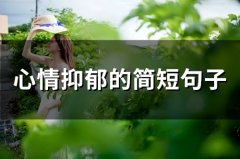 心情抑郁的简短句子(精选63句)