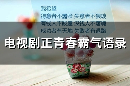 电视剧正青春霸气语录(78句)