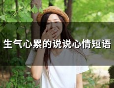 生气心累的说说心情短语(57句)