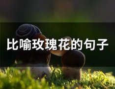 比喻玫瑰花的句子(精选61句)