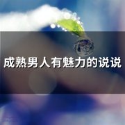 成熟男人有魅力的说说(精选53句)