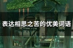 表达相思之苦的优美词语(43句)