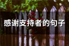 感谢支持者的句子(精选55句)