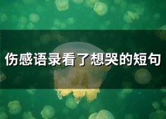 伤感语录看了想哭的短句(精选78句)