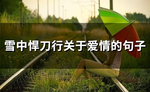 雪中悍刀行关于爱情的句子(71句)