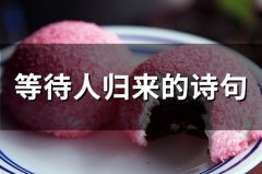 等待人归来的诗句(74句)
